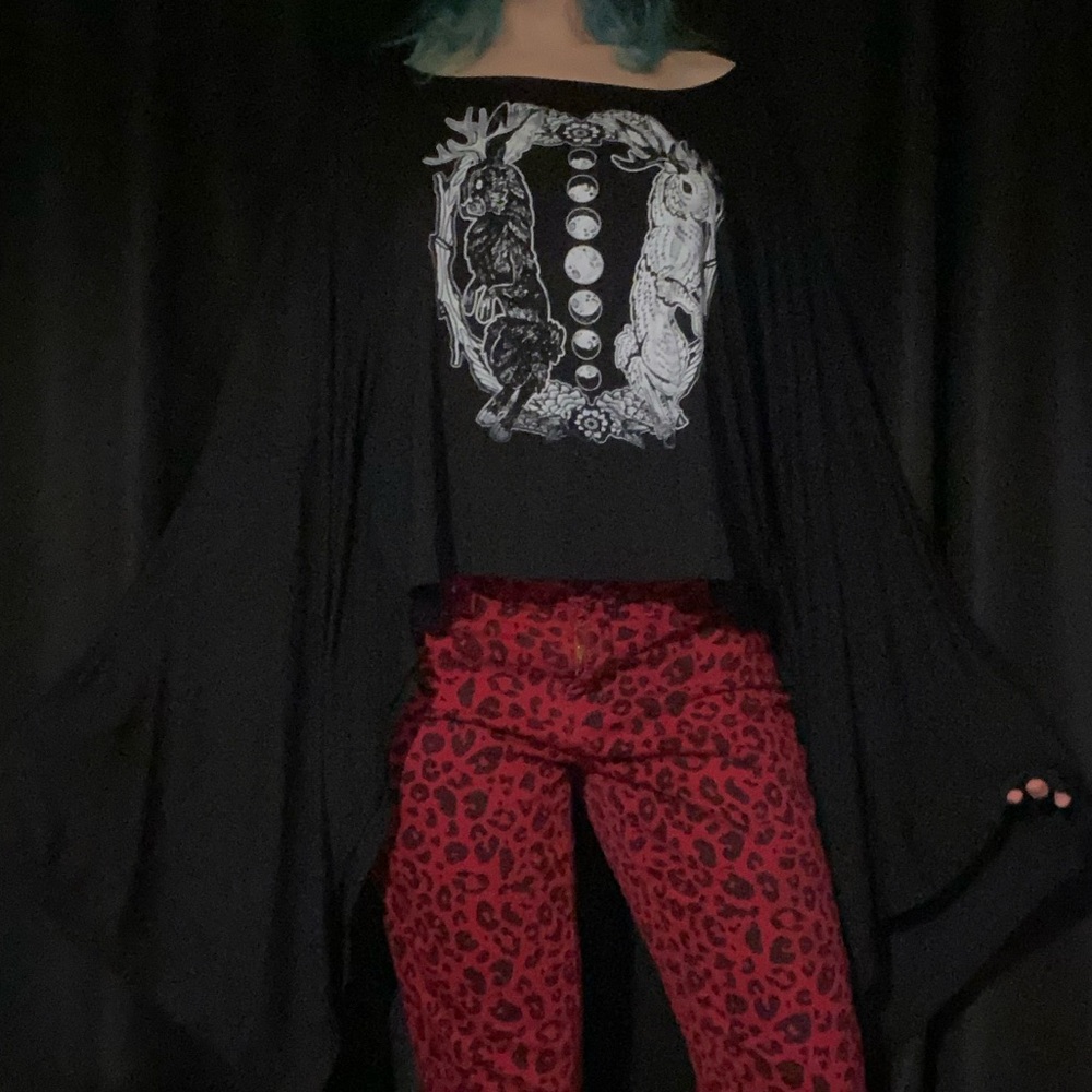 Gothic Blouse - image 1